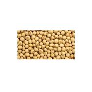 Dökme Bakliyat 1 kg Soya Fasulyesi