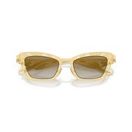Dolce & Gabbana DG2311 12246E 51 Kadın Güneş Gözlüğü