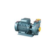 Domak SLG 2 1.5 HP Sulama Pompası