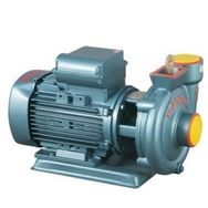 Domak SLG 2 1.5 HP Sulama Pompası