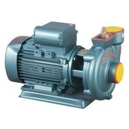 Domak Slg 2 2 Hp Sulama Pompası