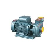 Domak Slg 3 3HP Sulama Pompası