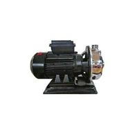 Domak SLGIX150 1.5 Hp 220 V Paslanmaz Çelik Gövdeli Santrifüj Pompa