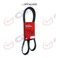 Dongil 6PK1640 1.9 DTI B56J - F9Q 68416 Mgn-Lgn Kanallı Kayış