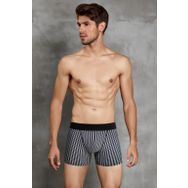 Doreanse 1866 Erkek Modal Çizgi Desenli Normal Paça Boxer