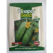 Dörtbudak 10 gr Pinaper Badem Acur Tohumu
