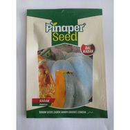 Dörtbudak 10 gr Pinaper Bal Kabak Tohumu