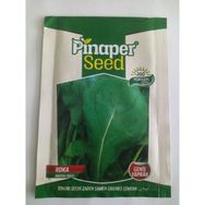 Dörtbudak 10 gr Pinaper Roka (Geniş Yaprak) Tohumu