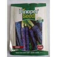 Dörtbudak 10 gr Pinaper Siyah Havuç Tohumu