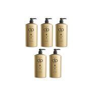 DP Daily Perfection Tuzsuz Çam Terebentin 5x800 ml Şampuan