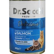 Dr.Sacchi Somonlu 400 gr Yetişkin Kedi Konserve