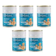 Dr.Sacchi Somonlu 5x400 gr Köpek Konserve