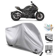 Ducati Diavel Carbon Motor Brandası