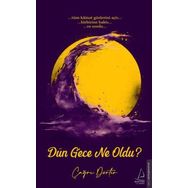 Dün Gece Ne Oldu? Destek Yayınları