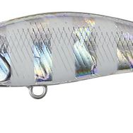 Duo 48HS GJA0101 Tetra Works Toto Zebra Glow Sahte Balık
