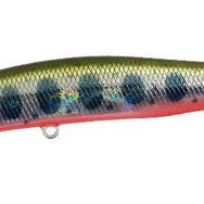 Duo ADA4068 Yamame Red Belly Spearhead Ryuki 50S Takumi Suni Yem