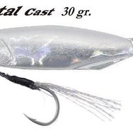 Duo Drag Metal Cast Jig 30 gr PDA0005 Silver Suni Balık Yemi