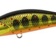 Duo Spearhead Ryuki 50S Takumi MCC4084 Gold Yamame Suni Balık Yemi