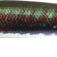 Duo Tide Minnow Slim 175SP CCC0824 Wrasse II ND Suni Yem