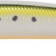 Duo Tide Minnow Slim Flyer 140 AST0333 Gold Sardine Suni Yem