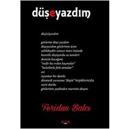 Düşeyazdım - Feridun Balcı