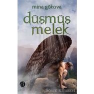 Düşmüş Melek - Mine Gökova