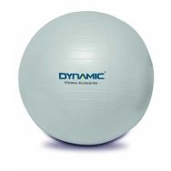 Dynamic Gymball 65 cm Gri Pilates Topu