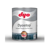 Dyo 2.5 lt Rutubetli Yüzey Boyası