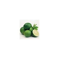 E-Fidancım Çekirdeksiz Tahiti Lime Limequat Fidanı