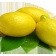 E-Fidancim Tüplü Aydın Limon Fidanı