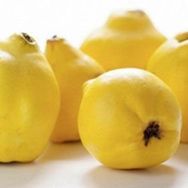 E-Fidancım Tüplü Ekmek Ayva Fidanı