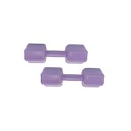 E-Life 2x2.5 kg Mor Dambıl Seti