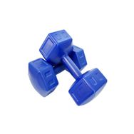 E-Life 2x5 kg Mavi Dambıl Seti