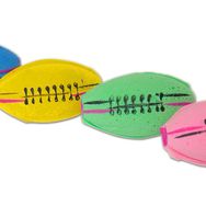 Eastland 6 cm 4 Adet Sünger Top
