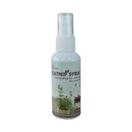 Eastland Catnip Sprey 60 ml Kedi Oyun Spreyi