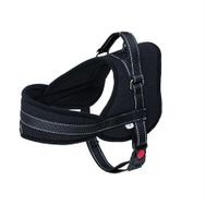 Eastland Çekmeyi Önleyici Reflektörlü 2.5x65-80 cm Köpek Göğüs Tasması