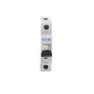 Eaton 286536 PL6-C32/1 32 Amper C 6 kA Otomatik Sigorta