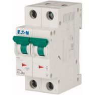 Eaton PL7-C6/2 Minyatür Devre Kesici