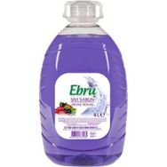Ebru Meyve Rüyası 4 lt Sıvı Sabun
