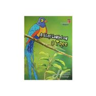 Edam A Bird Landed On Tree - Neriman Karatekin