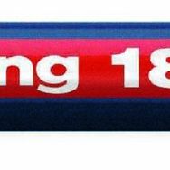Edding E-1800 0.1mm Kırmızı Teknik Çizim Kalemi