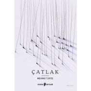 Edebi Şeyler Çatlak