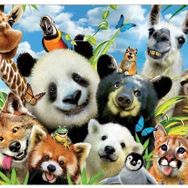 Educa 18117 1000 Parça Lama Drama Selfie Puzzle