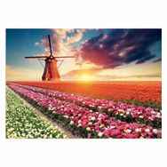 Educa 18465 1500 Parça Lale Manzarası Puzzle