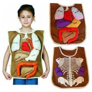 Edutoys Organ Önlüğü Okul Öncesi Eğitim Seti