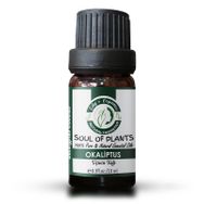 Edy's Organics 10 ml Okaliptus Globulus Uçucu Yağı