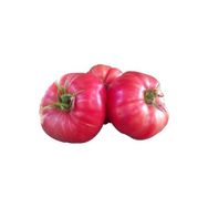 Ege Tarım 10 Adet Pembe Domates Tohumu