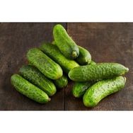 Ege Tarım 5 Adet Turşuluk Kornişon Salatalık Tohumu