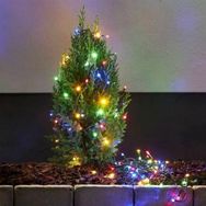 Eglo 100 Led 750 cm x 5 mt Renkli Zincir Işık