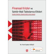 Ekin Basım Yayın - Finansal Krizler ve Sektör Mali Tablolarına Etkileri